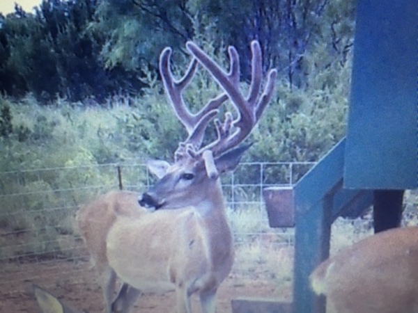 Burttschell Ranch Photo