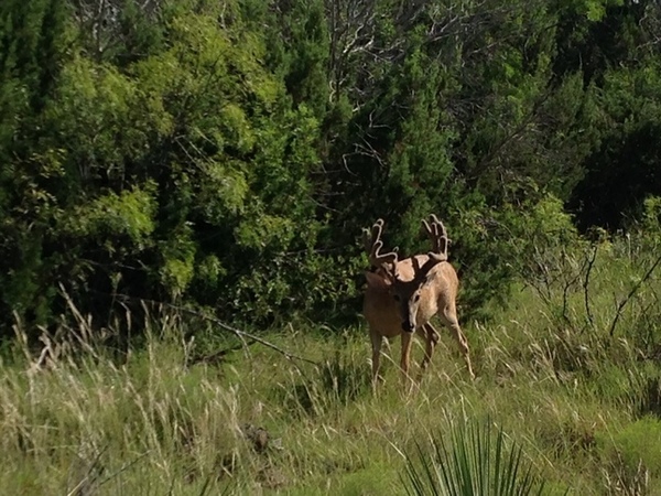 Burttschell Ranch Photo