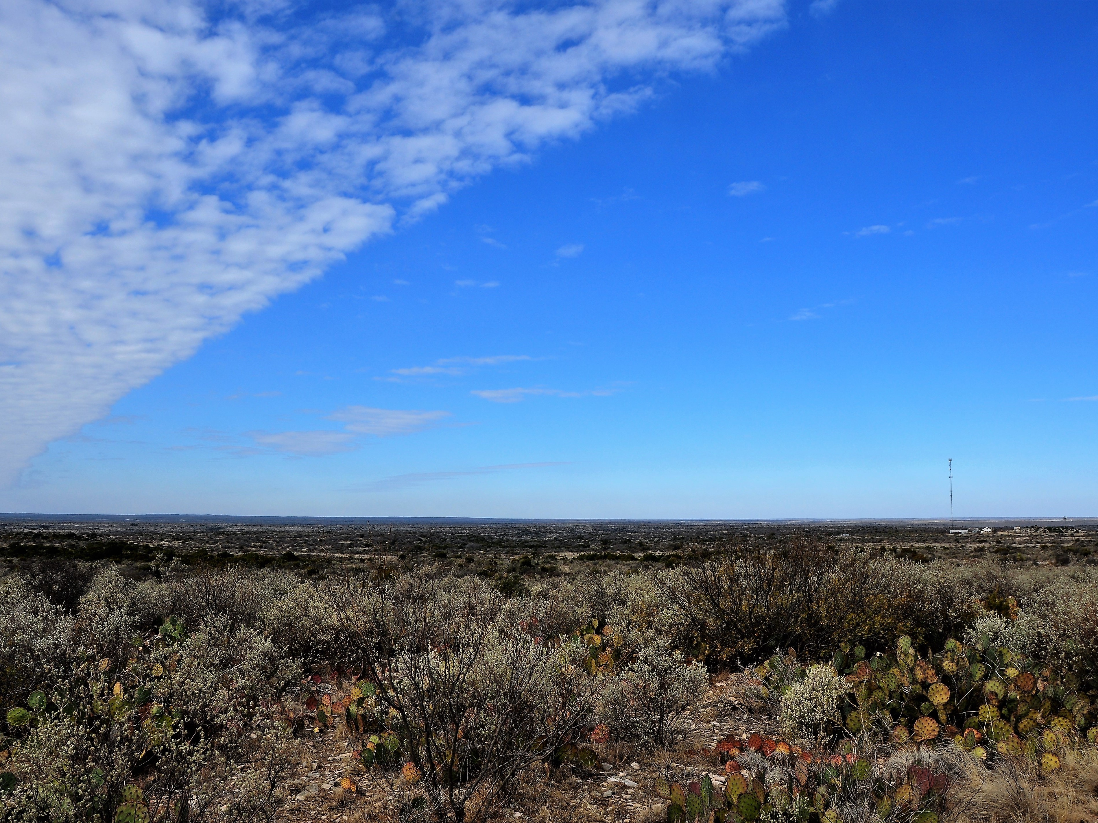 Cash Ranch Photo