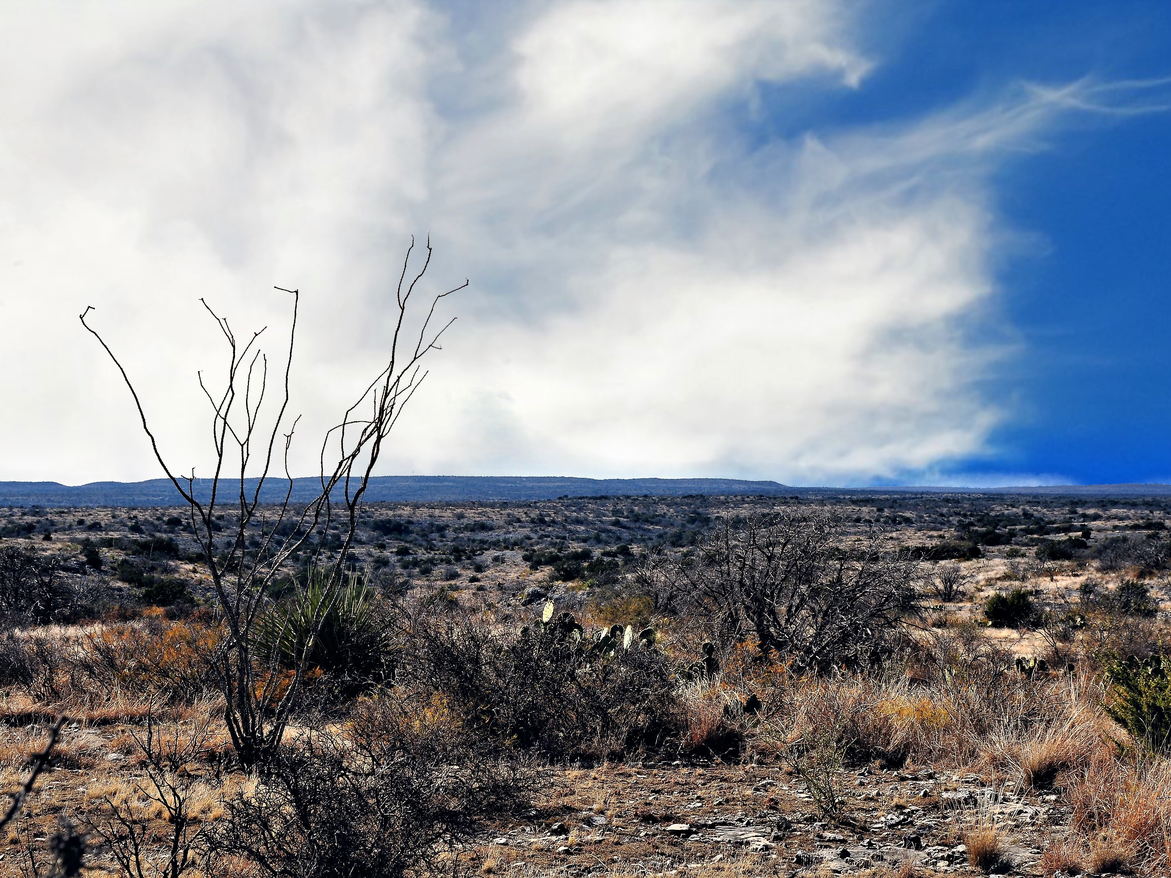 Cash Ranch Photo