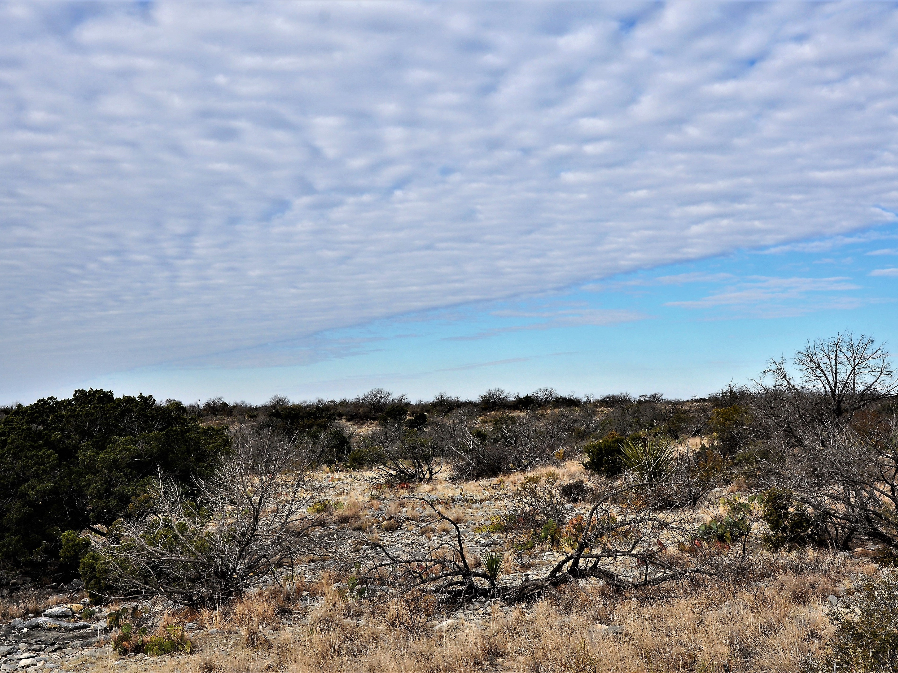 Cash Ranch Photo