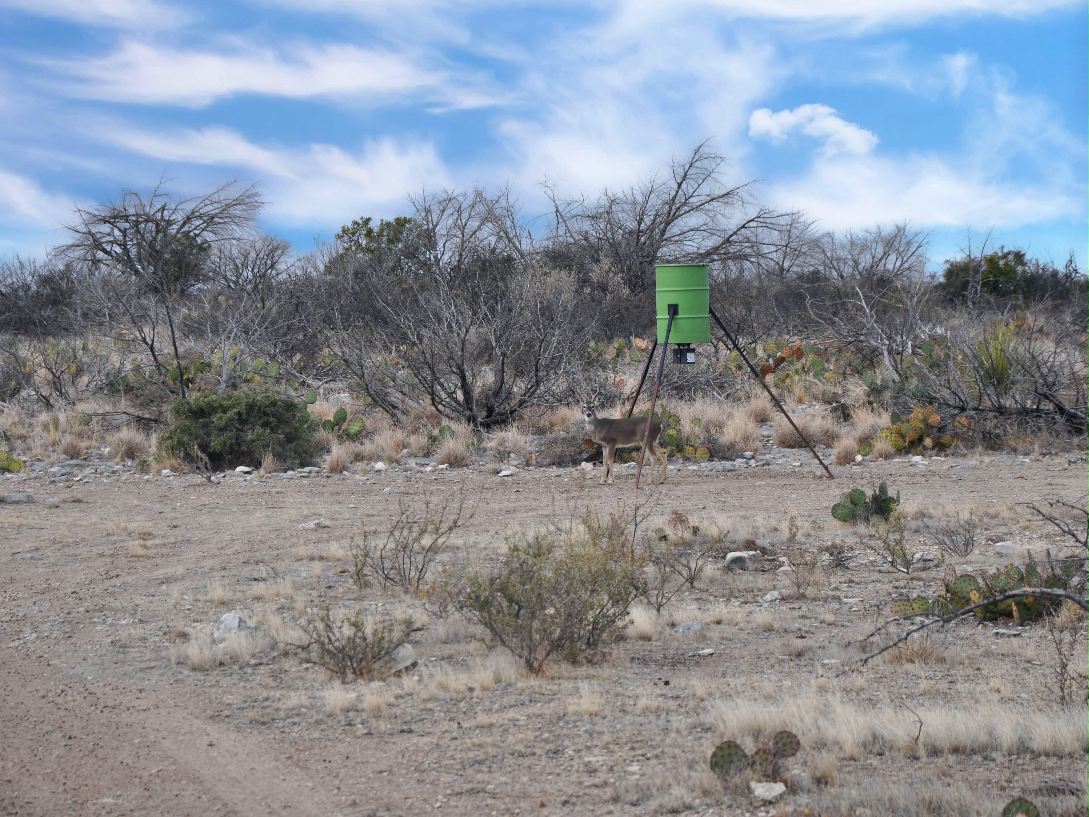 Cash Ranch Photo