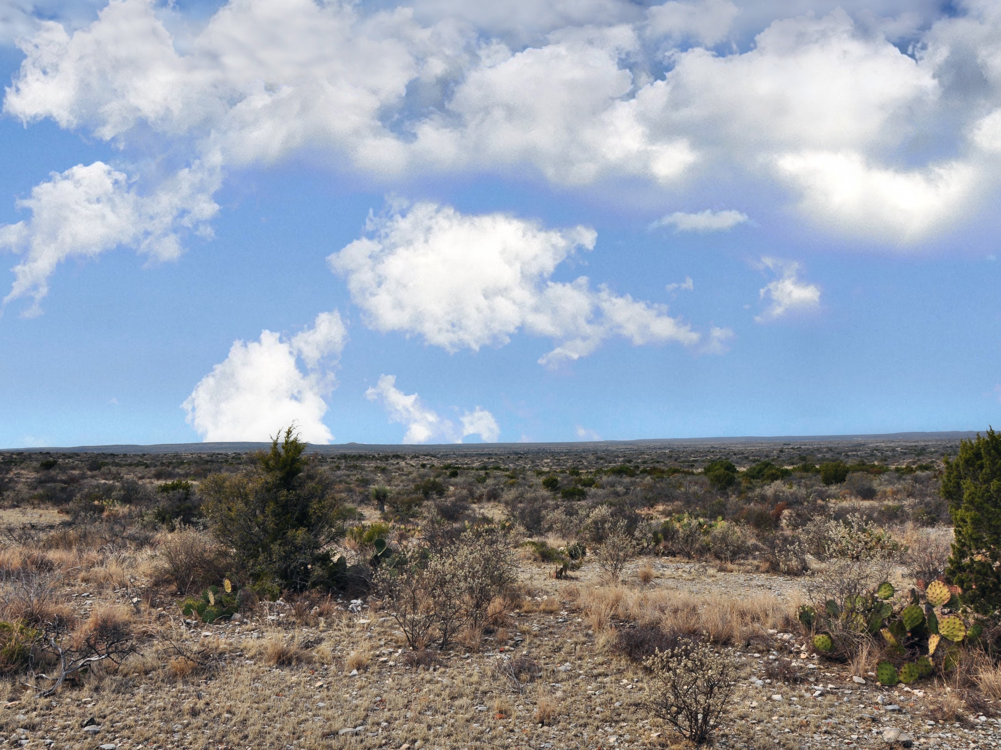 Cash Ranch Photo