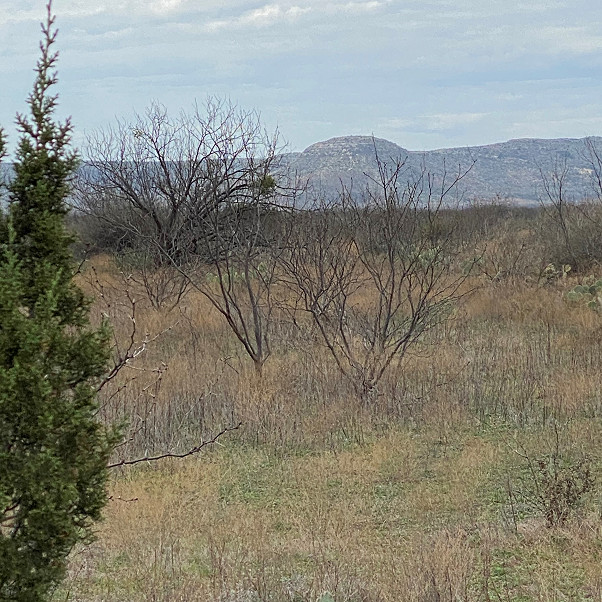 Juniper Creek Ranch Photo