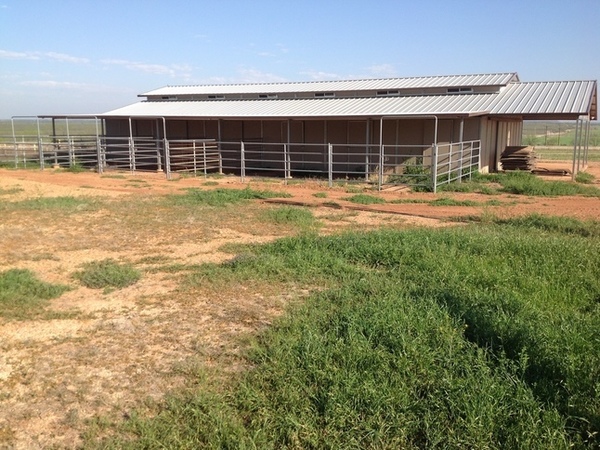 Cedar Mountain Horse Ranch Photo