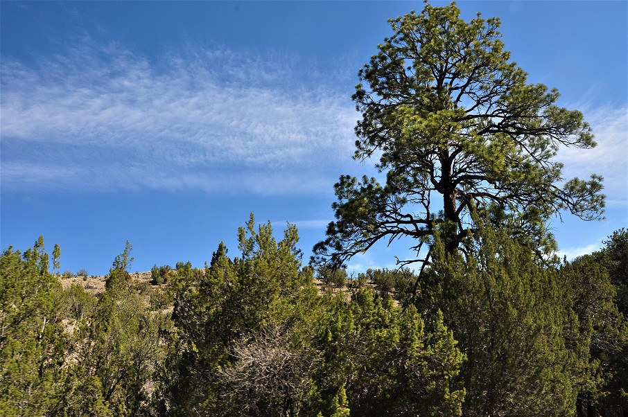 Chavez Canyon Ranch Photo