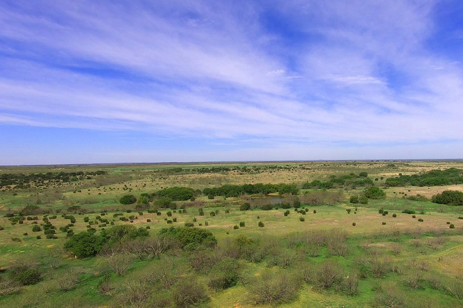 Coleman Live Oak Ranch Photo