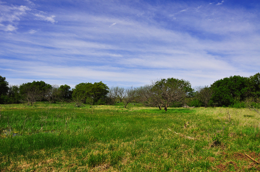 Coleman Live Oak Ranch Photo