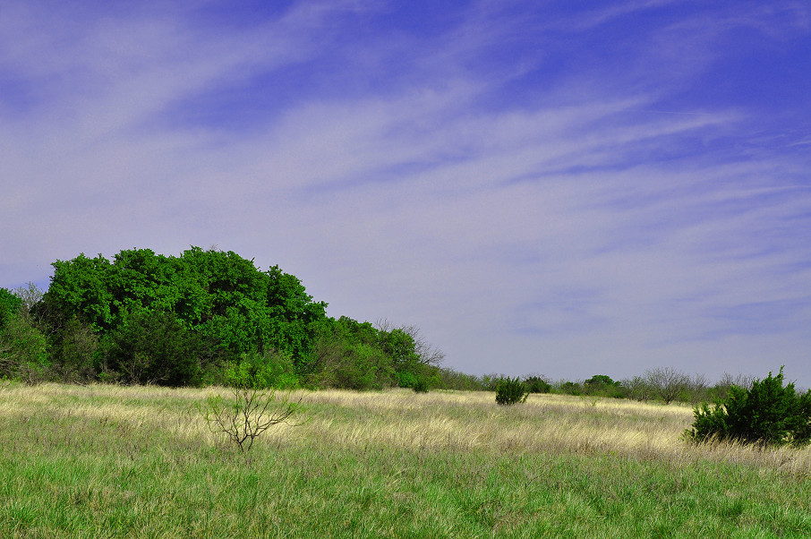 Coleman Live Oak Ranch Photo