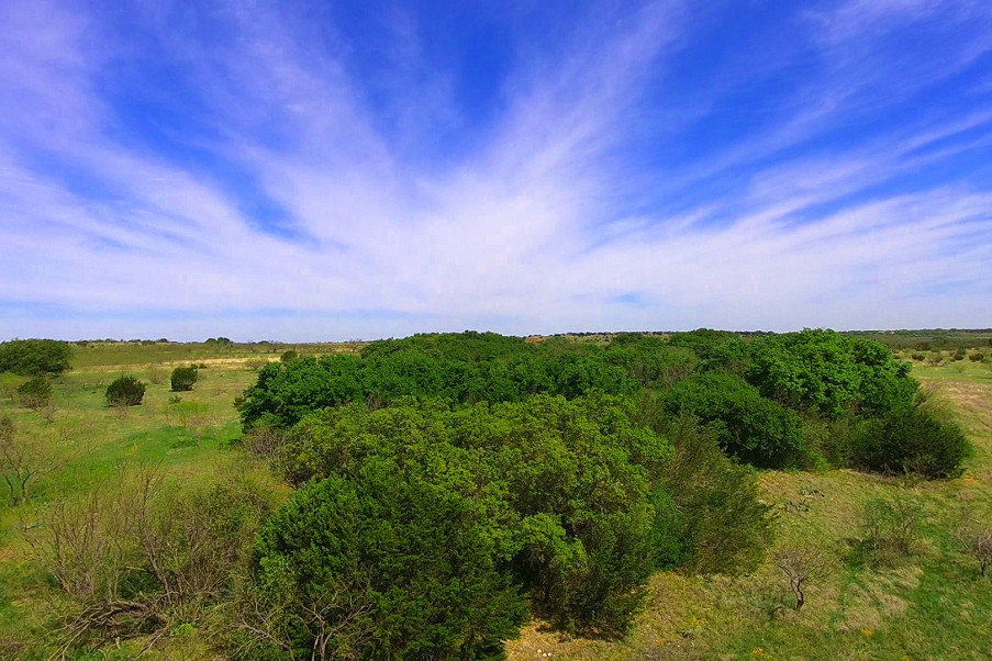 Coleman Live Oak Ranch Photo