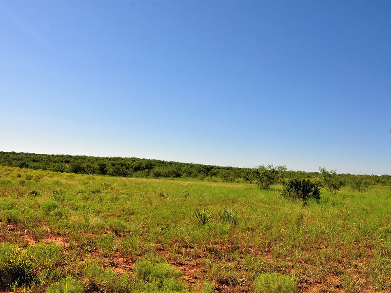 Cooper Mountain Ranch Photo