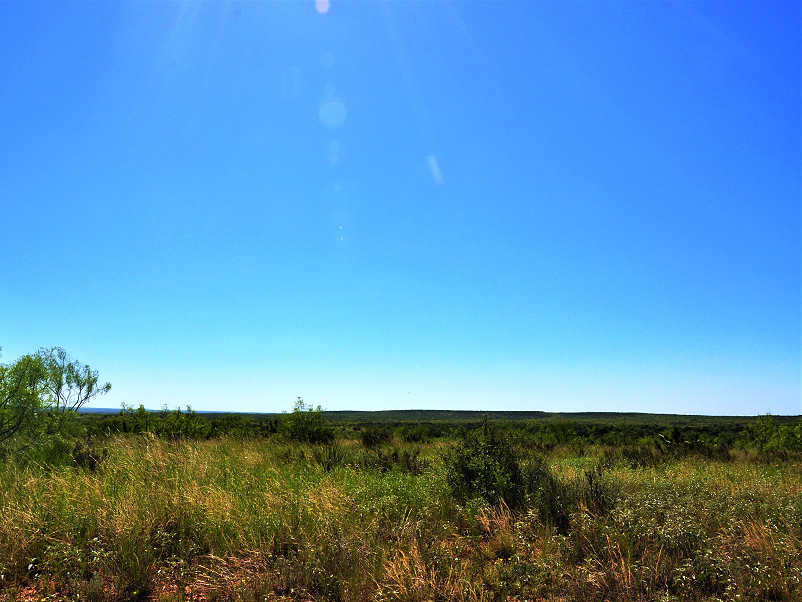 Cooper Mountain Ranch Photo