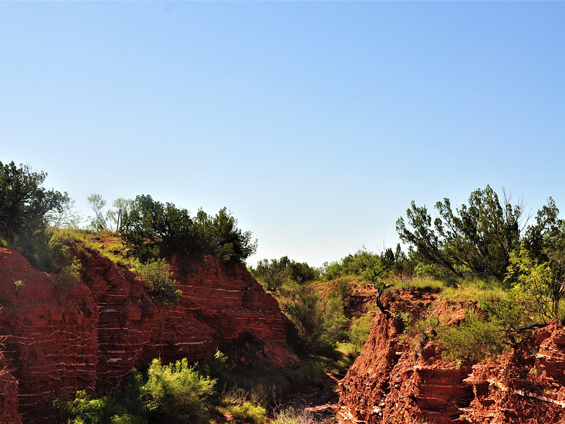 Cooper Mountain Ranch Photo