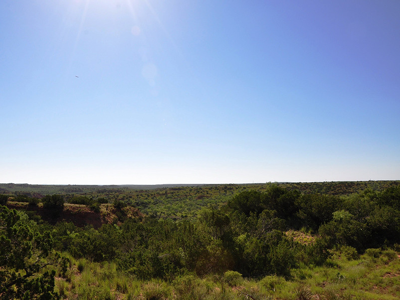 Cooper Mountain Ranch Photo