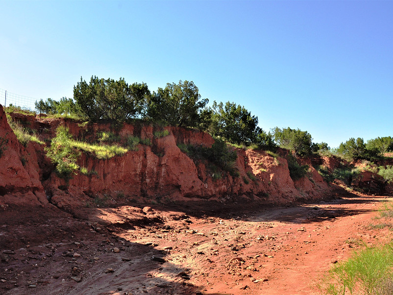 Cooper Mountain Ranch Photo