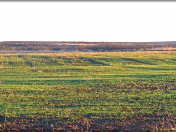 Cottonwood Creek Stock Farm Photo