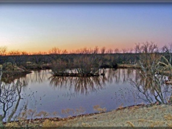 Cottonwood Creek Stock Farm Photo