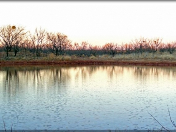 Cottonwood Creek Stock Farm Photo