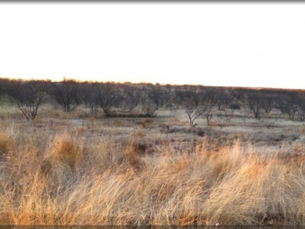 Cottonwood Creek Stock Farm Photo