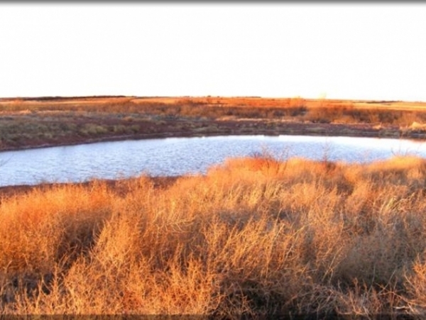 Cottonwood Creek Stock Farm Photo