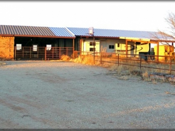 Cottonwood Creek Stock Farm Photo