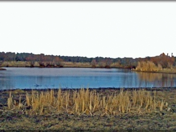 Cottonwood Creek Stock Farm Photo