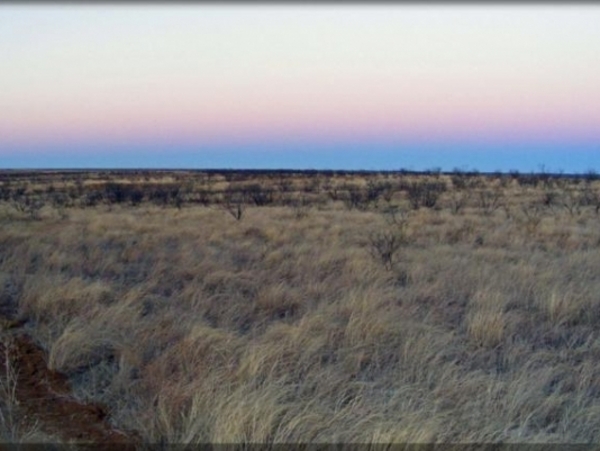 Cottonwood Creek Stock Farm Photo