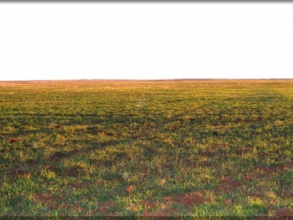 Cottonwood Creek Stock Farm Photo