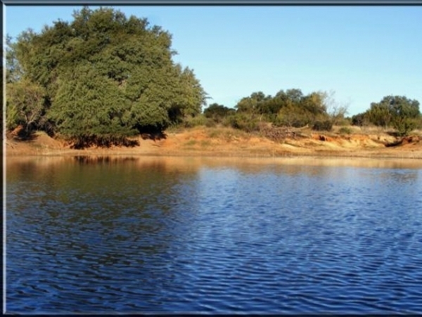 County Line Ranch Photo