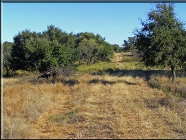 County Line Ranch Photo