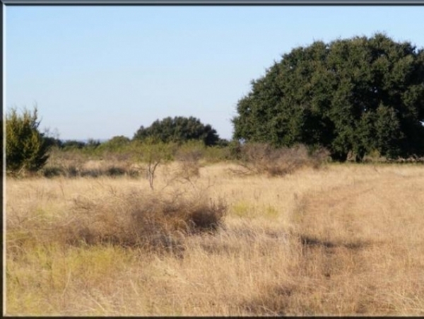 County Line Ranch Photo