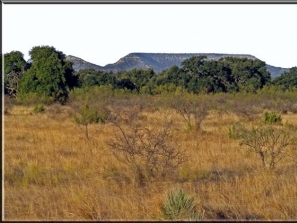 County Line Ranch Photo