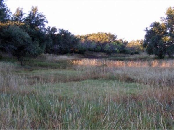 County Line Ranch Photo