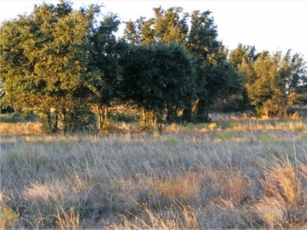 County Line Ranch Photo