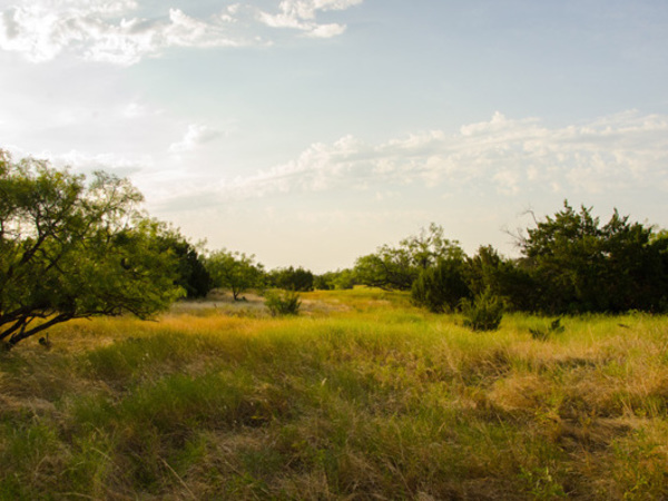 Crow's Nest Ranch Photo