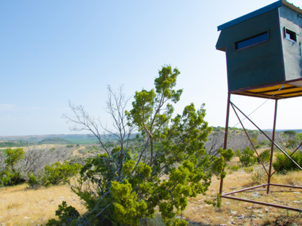 Crow's Nest Ranch Photo