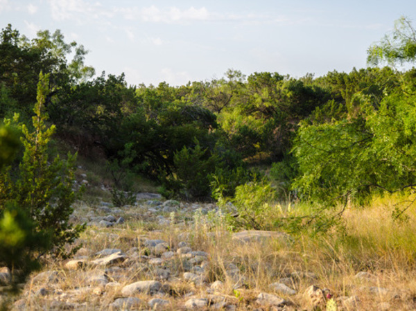 Crow's Nest Ranch Photo