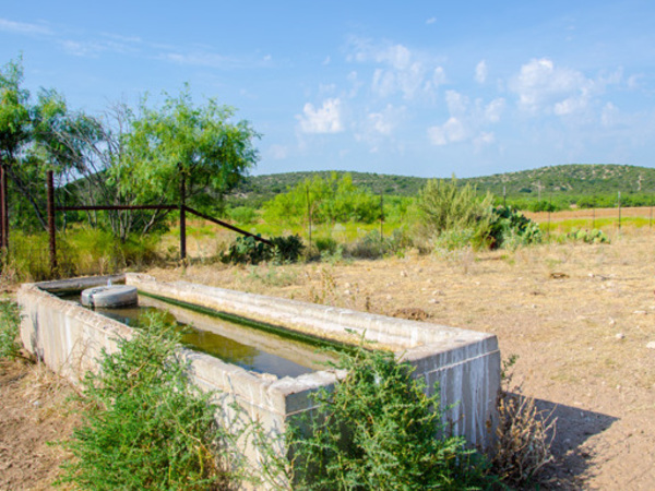 Crow's Nest Ranch Photo