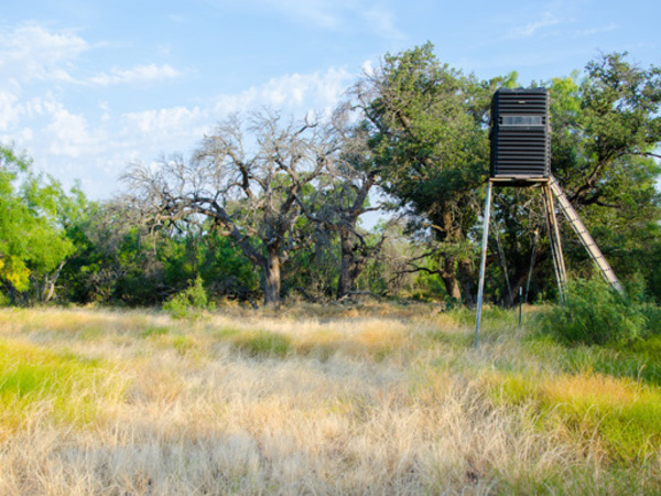 Crow's Nest Ranch Photo