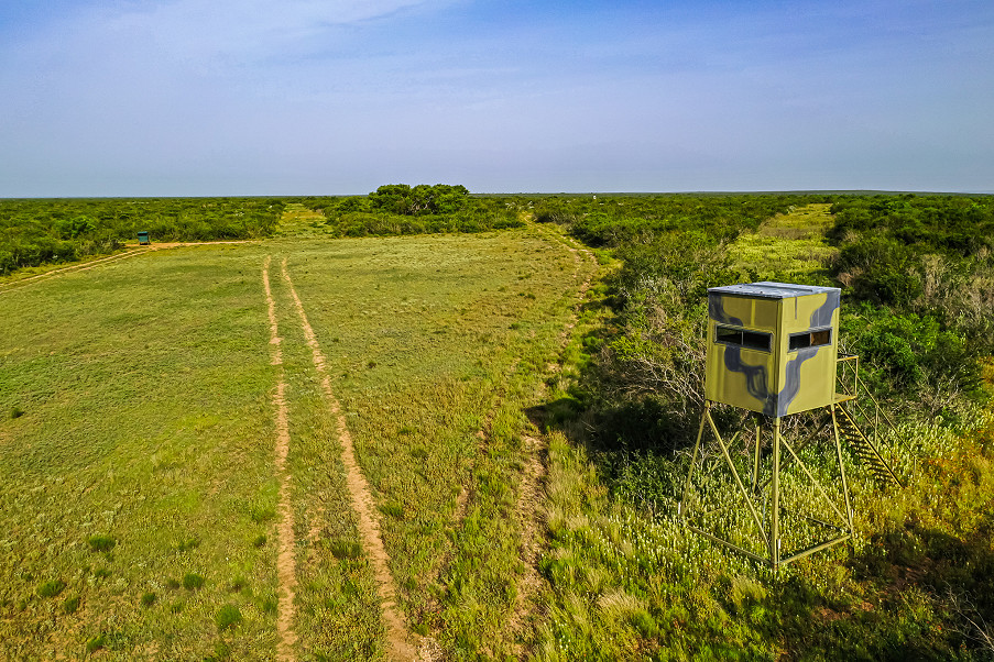 Sims Whitetail Ranch Photo