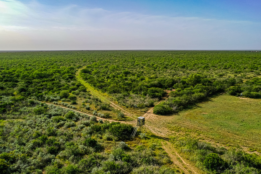 Sims Whitetail Ranch Photo