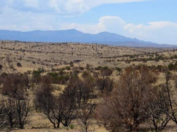 Donaldson-Pajarito Ranch Photo