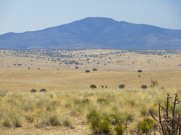 Donaldson-Pajarito Ranch Photo