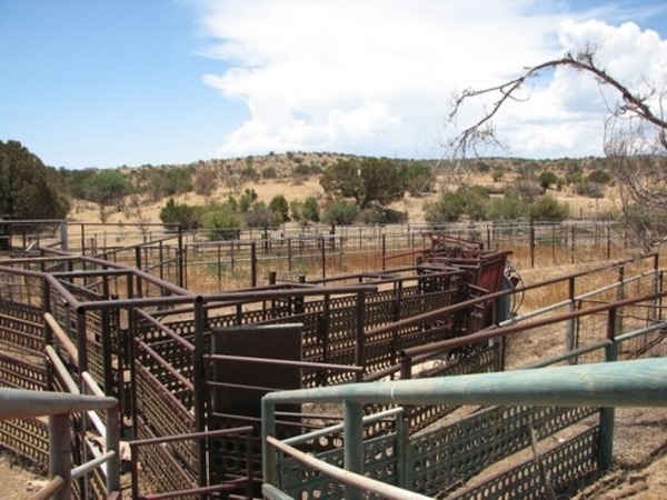 Donaldson-Pajarito Ranch Photo