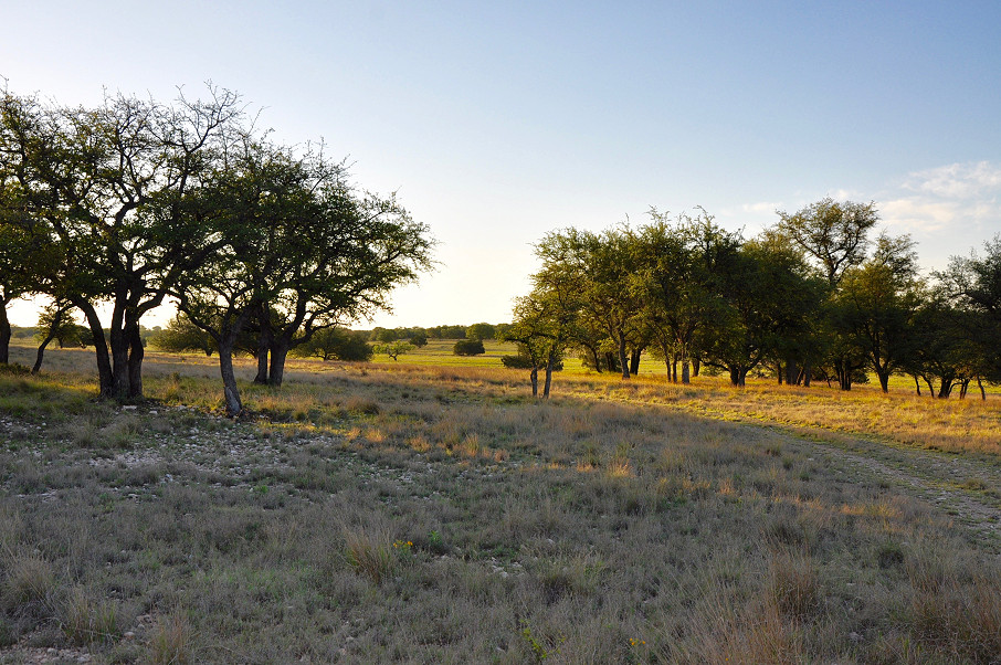 Rolling Oaks Ranch Photo