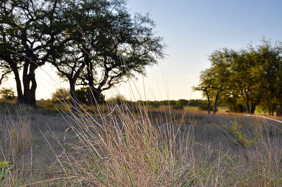 Rolling Oaks Ranch Photo