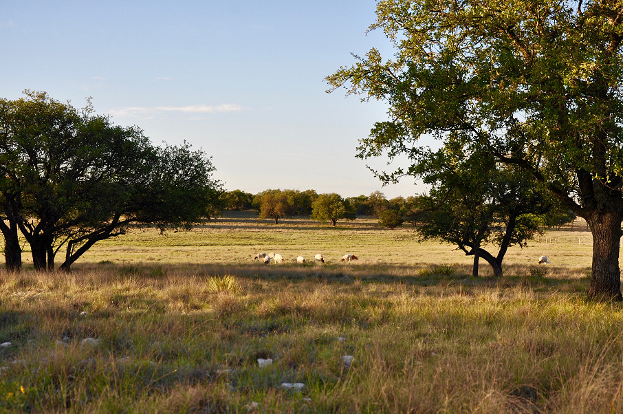 Rolling Oaks Ranch Photo