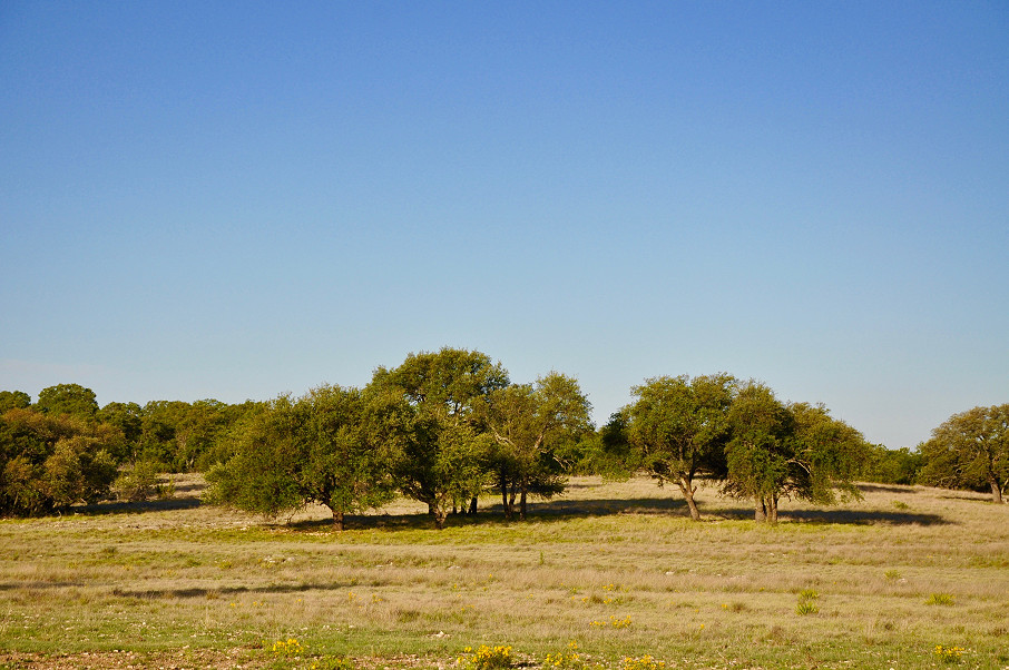 Rolling Oaks Ranch Photo