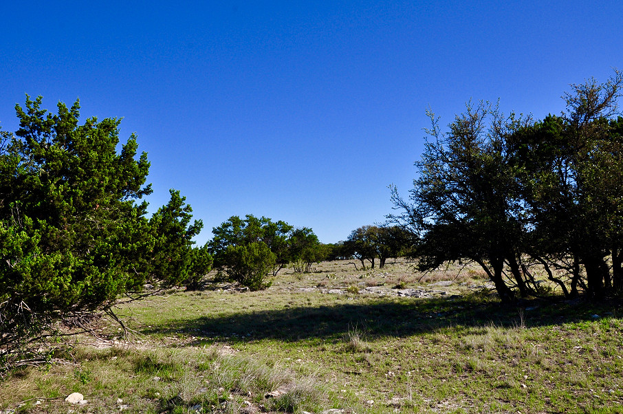 Rolling Oaks Ranch Photo