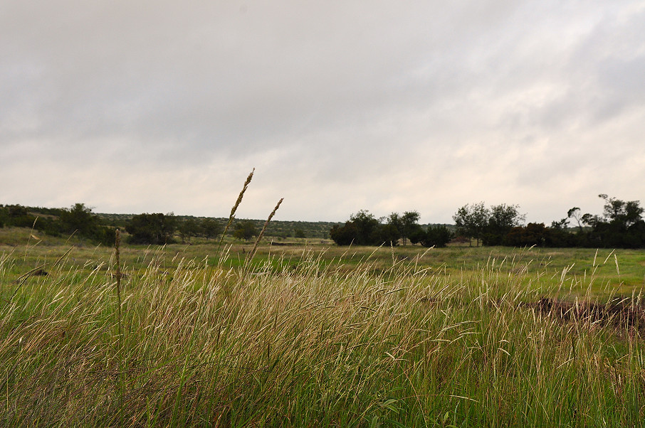 Williamson Family Ranch Photo